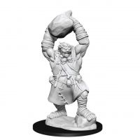 Pathfinder - Deep Cuts Miniatures - Ogre