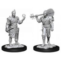 Nolzur's Marvelous Miniatures - Half-Elf Male Bard