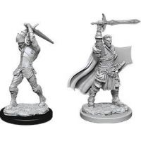 Nolzur's Marvelous Miniatures - Human Male Paladin