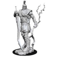 Nolzur's Marvelous Miniatures - Storm Giant
