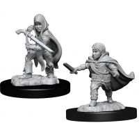 Nolzur's Marvelous Miniatures - Halfling Male Rogue