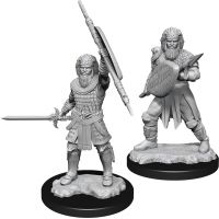 Nolzur's Marvelous Miniatures - Human Male Fighter