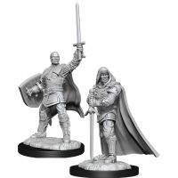 Nolzur's Marvelous Miniatures - Human Male Paladin