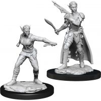 Nolzur's Marvelous Miniatures - Shifter Female Rogue