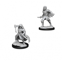 Nolzur's Marvelous Miniatures - Warforged Rogue