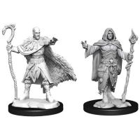 Nolzur's Marvelous Miniatures - Human Male Druid