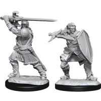 Nolzur's Marvelous Miniatures - Human Male Paladin