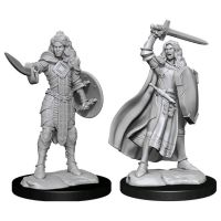 Pathfinder - Deep Cuts Miniatures - Human Female Champion