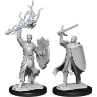 Nolzur's Marvelous Miniatures - Half-Elf Male Paladin