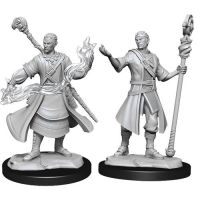 Nolzur's Marvelous Miniatures - Half-Elf Male Wizard