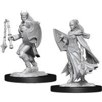 Nolzur's Marvelous Miniatures - Kalashtar Female Cleric