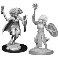 Nolzur's Marvelous Miniatures - Changeling Male Cleric