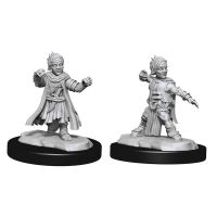 Pathfinder - Deep Cuts Miniatures - Halfling Male Monk