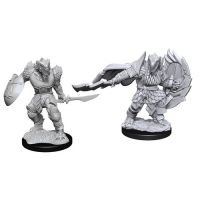 Nolzur's Marvelous Miniatures - Dragonborn Male Fighter