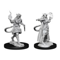 Nolzur's Marvelous Miniatures - Tiefling Female Sorcerer