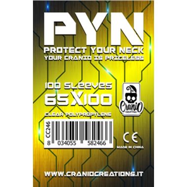 100 Bustine PYN 65x100