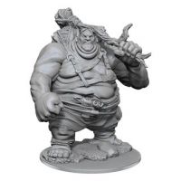 Nolzur's Marvelous Miniatures - Hill Giant