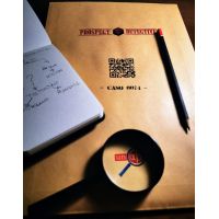Prospect Detective: Caso 0074