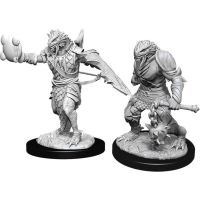 Nolzur's Marvelous Miniatures - Dragonborn Male Paladin