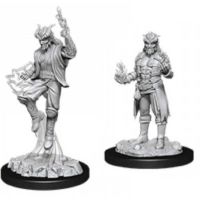 Nolzur's Marvelous Miniatures - Tiefling Male Sorcerer