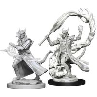 Nolzur's Marvelous Miniatures - Tiefling Male Sorcerer