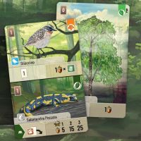 Forest Shuffle - Set 2 Carte (Promo Hobby Next)
