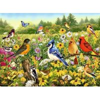 Puzzle Uccelli nel Campo - 500 Pezzi