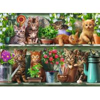 Puzzle Gatto sullo Scaffale - 500 Pezzi