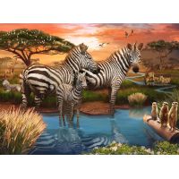 Puzzle Zebre alla Pozza d'Acqua - 500 Pezzi