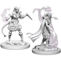 D&D Nolzur's Marvelous Miniatures - Tiefling Female Sorcerer
