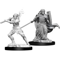 D&D Nolzur's Marvelous Miniatures - Human Female Paladin
