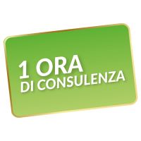 Consulenza Imprenditoriale - 1h di call con Mario per la tua attività esistente o futura